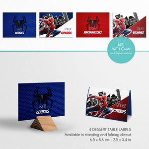 SPIDERMAN Birthday Party Bundle