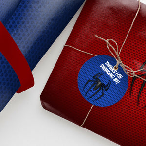 SPIDERMAN Birthday Party Bundle