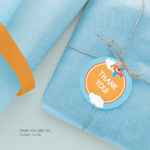 AIRPLANE Birthday Party Bundle